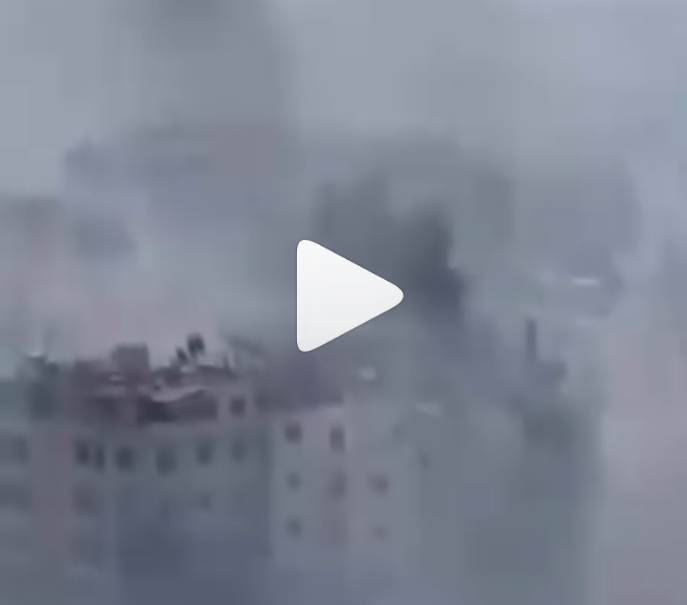 שדגשדג